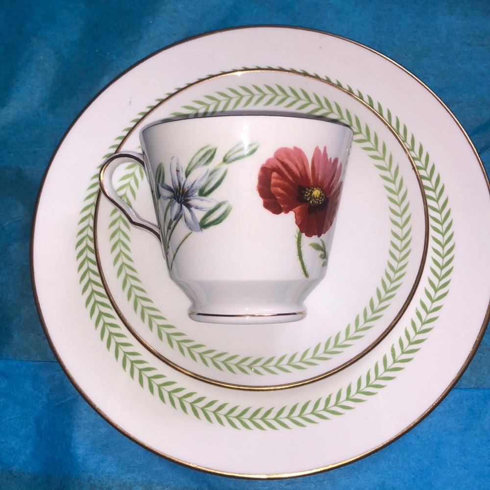 Spode English  tea cup, saucer and dessert plate